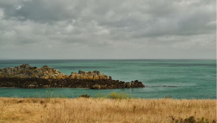 Un tour ornithologique de la pointe du Grouin